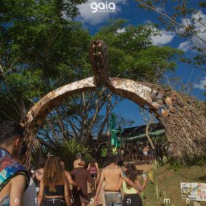 gaia-connection-2025 (100)