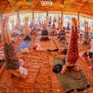 gaia-connection-2025 (103)