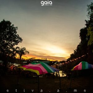 gaia-connection-2025 (140)