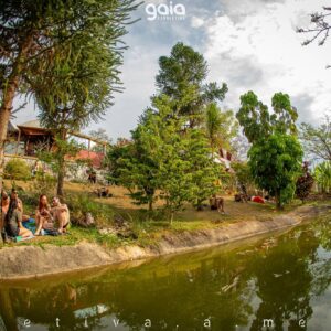 gaia-connection-2025 (149)