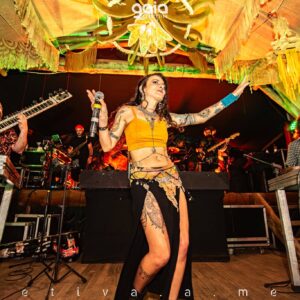 gaia-connection-2025 (150)