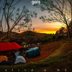 gaia-connection-2025 (154)