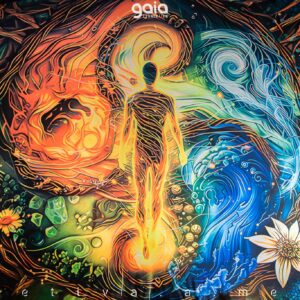 gaia-connection-2025 (159)