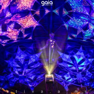 gaia-connection-2025 (79)