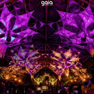 gaia-connection-2025 (80)