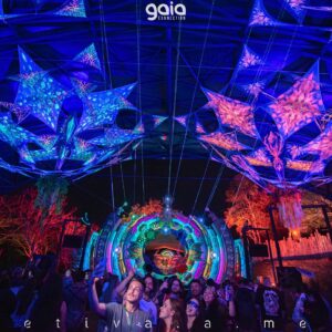 gaia-connection-2025 (90)