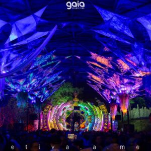 gaia-connection-2025 (98)
